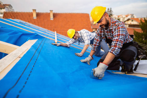 Best Gutter Installation and Repair  in St Elmo, IL